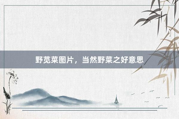 野苋菜图片,当然野菜之好意思