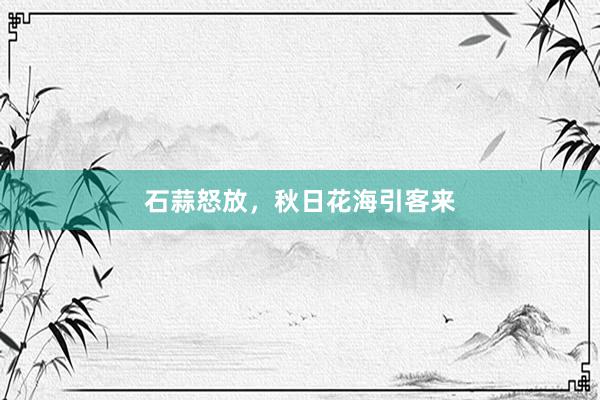 石蒜怒放，秋日花海引客来