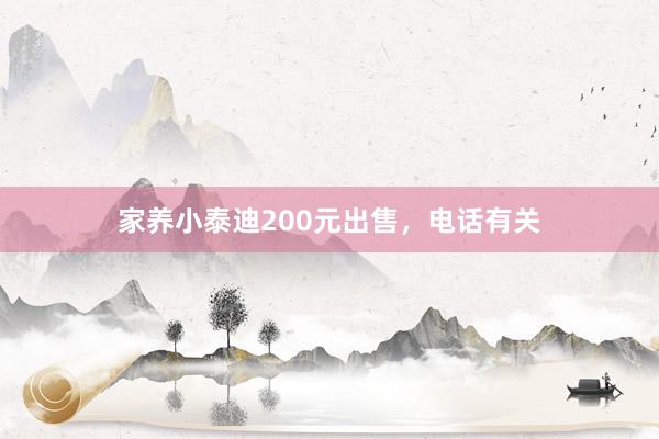 家养小泰迪200元出售,电话有关