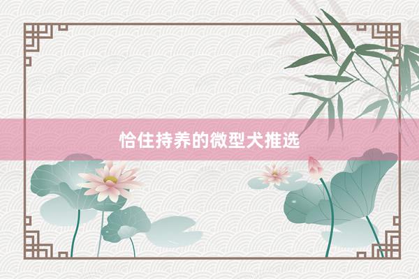 恰住持养的微型犬推选