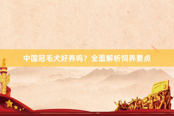 中国冠毛犬好养吗?全面解析饲养要点